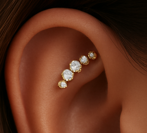 Rook Piercing
