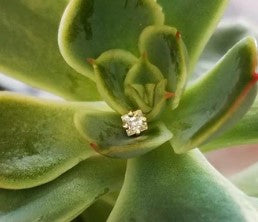 Princess Cut CZ Jewellery