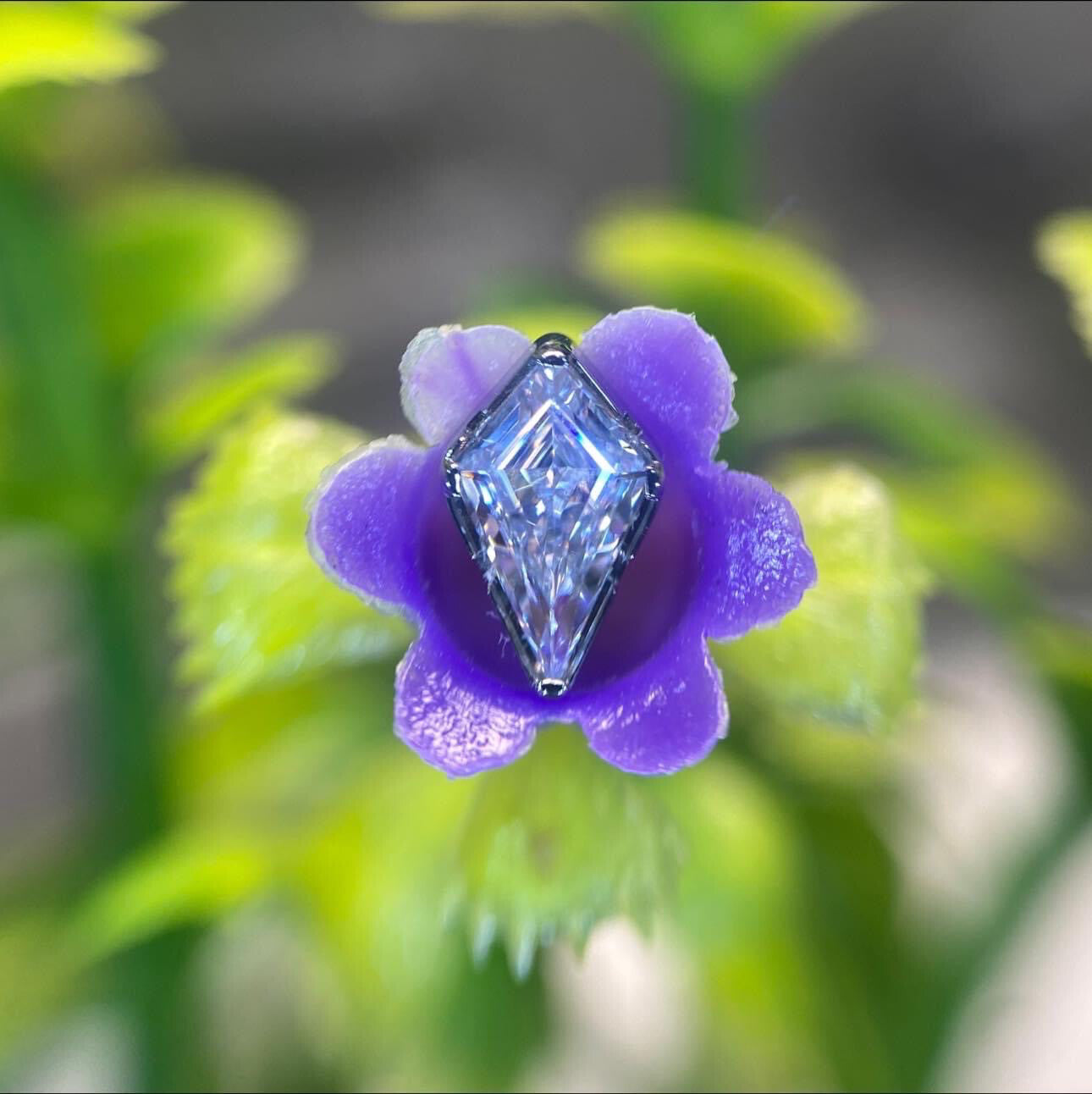 Kite Cut Gem - Titanium