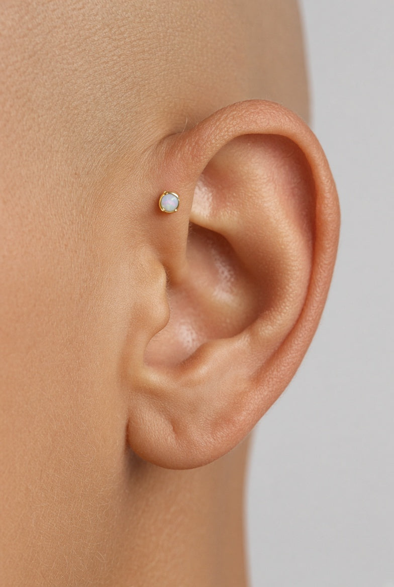Felix (forward helix) Piercing