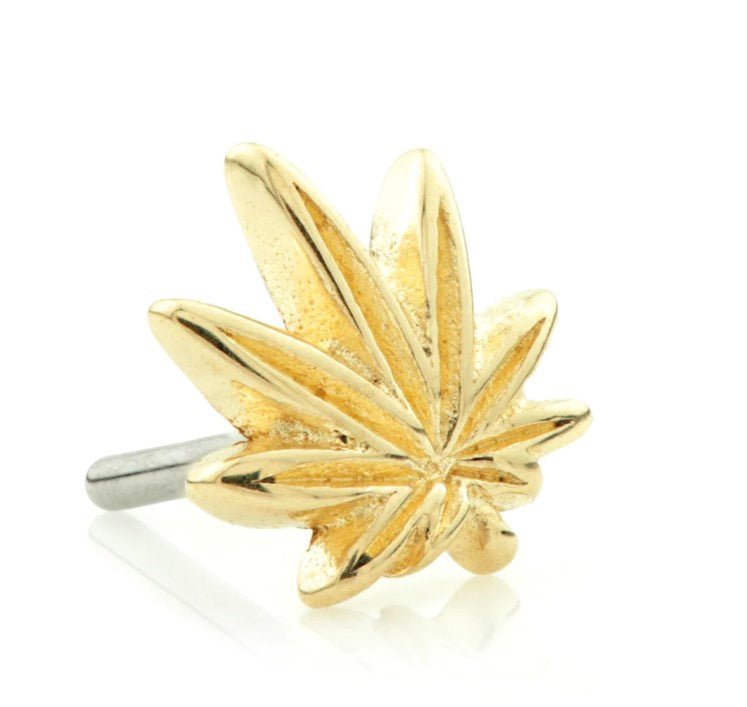 Lead Palmate - Gold Earring Attachment