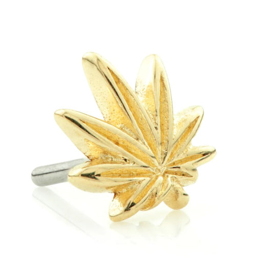 Lead Palmate - Gold Earring Attachment