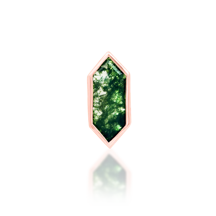 Aurelia