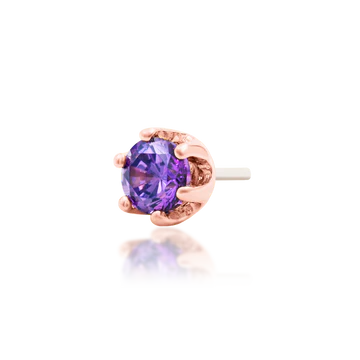 Bora Bezel