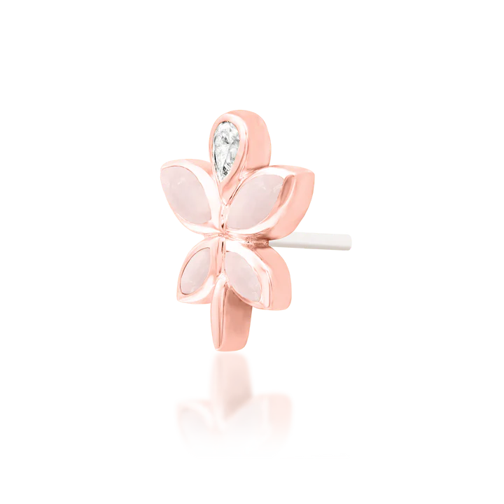 Fae