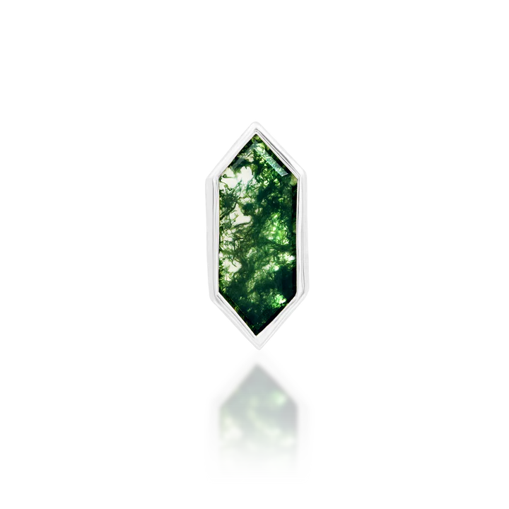 Aurelia