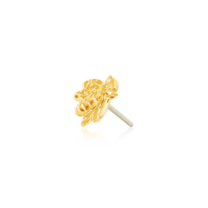 Gold Bee