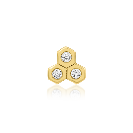 Honeycomb Gold implant-grade studio PNG