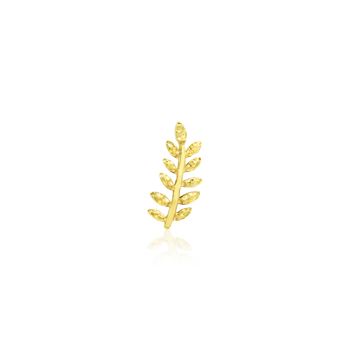 Gold Willow Jewellery implant-grade studio PNG